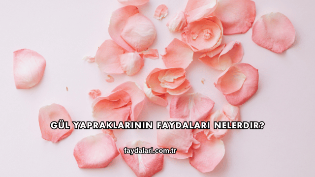 Gül Yapraklarının Faydaları Nelerdir?