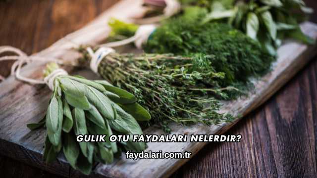 Gulik Otu Faydaları Nelerdir?