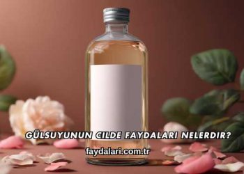 Gülsuyunun Cilde Faydaları Nelerdir?
