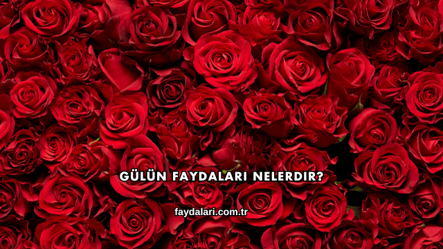 Gülün Faydaları Nelerdir?