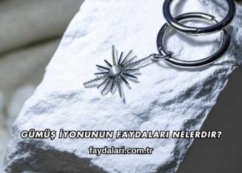 Gümüş İyonunun Faydaları Nelerdir?