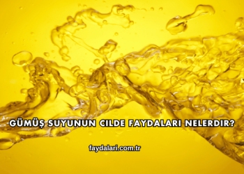 Gümüş Suyunun Cilde Faydaları Nelerdir?