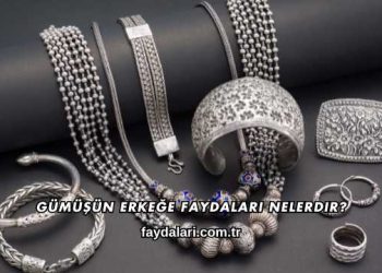 Gümüşün Erkeğe Faydaları Nelerdir?