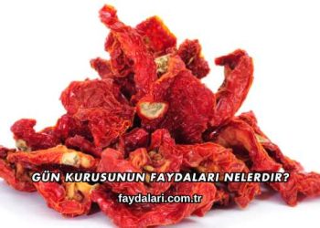 Gün Kurusunun Faydaları Nelerdir?