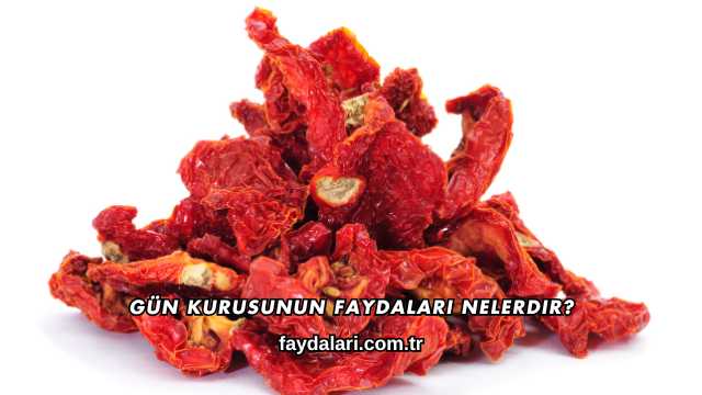 Gün Kurusunun Faydaları Nelerdir?