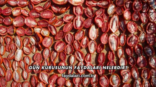 Gün Kurusunun Faydaları Nelerdir?
