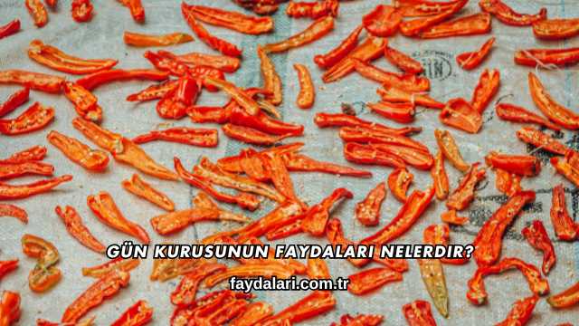 Gün Kurusunun Faydaları Nelerdir?