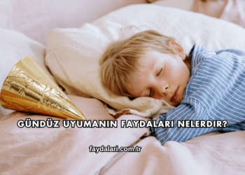 Gündüz Uyumanın Faydaları Nelerdir?