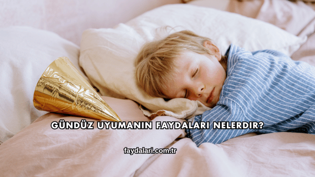 Gündüz Uyumanın Faydaları Nelerdir?