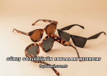 Güneş Gözlüğünün Faydaları Nelerdir?