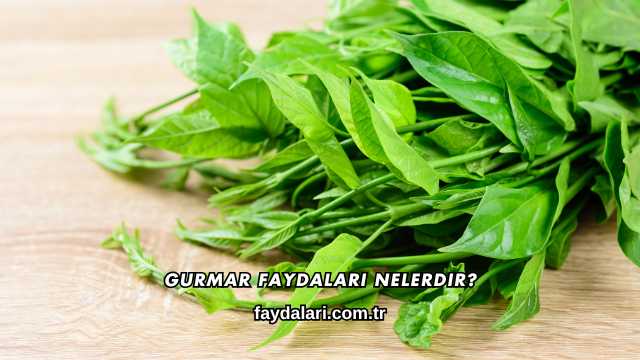 Gurmar Faydaları Nelerdir?