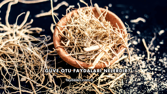 Güve Otu Faydaları Nelerdir?