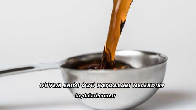 Güvem Eriği Özü Faydaları Nelerdir?