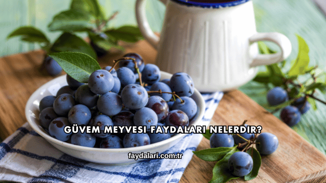 Güvem Meyvesi Faydaları Nelerdir?