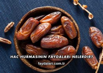 Hac Hurmasının Faydaları Nelerdir?