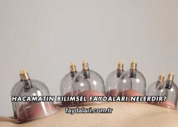 Hacamatın Bilimsel Faydaları Nelerdir?