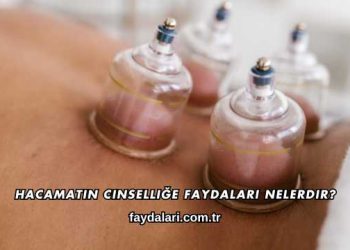 Hacamatın Cinselliğe Faydaları Nelerdir?
