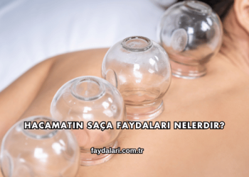 Hacamatın Saça Faydaları Nelerdir?