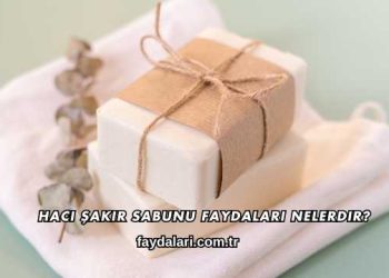 Hacı Şakir Sabunu Faydaları Nelerdir?
