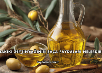 Hakiki Zeytinyağının Saça Faydaları Nelerdir?