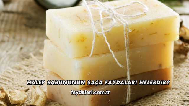 Halep Sabununun Saça Faydaları Nelerdir?