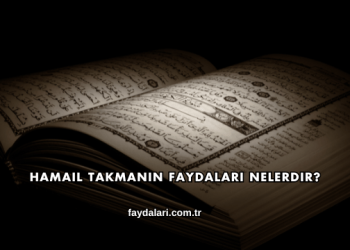 Hamail Takmanın Faydaları Nelerdir?