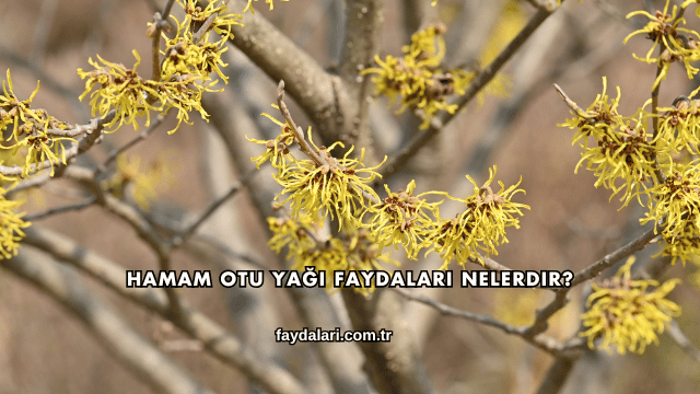 Hamam Otu Yağı Faydaları Nelerdir?