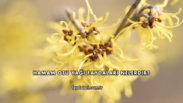 Hamam Otu Yağı Faydaları Nelerdir?