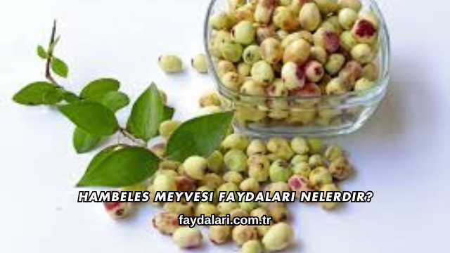 Hambeles Meyvesi Faydaları Nelerdir?