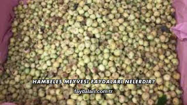 Hambeles Meyvesi Faydaları Nelerdir?