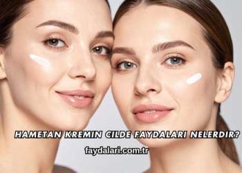 Hametan Kremin Cilde Faydaları Nelerdir?