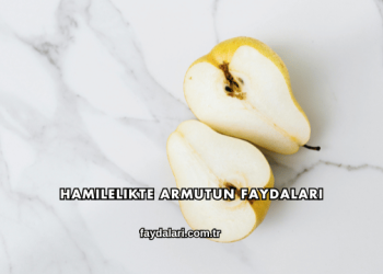 Hamilelikte Armutun Faydaları