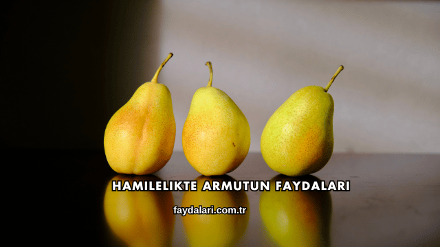 Hamilelikte Armutun Faydaları