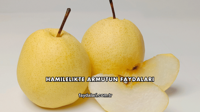 Hamilelikte Armutun Faydaları