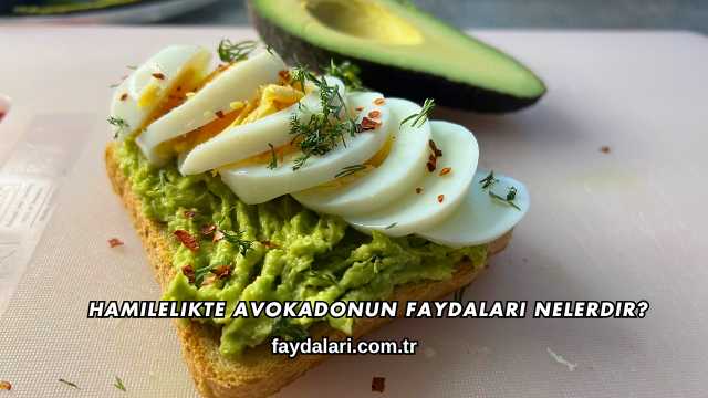 Hamilelikte Avokadonun Faydaları Nelerdir?