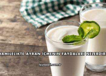 Hamilelikte Ayran İçmenin Faydaları Nelerdir?