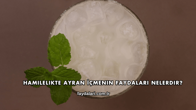 Hamilelikte Ayran İçmenin Faydaları Nelerdir?