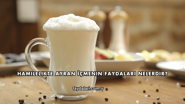 Hamilelikte Ayran İçmenin Faydaları Nelerdir?