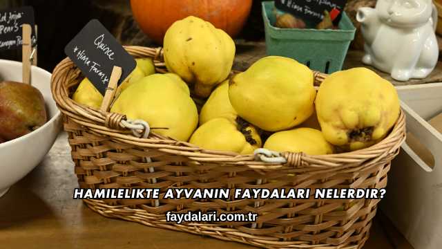 Hamilelikte Ayvanın Faydaları Nelerdir?