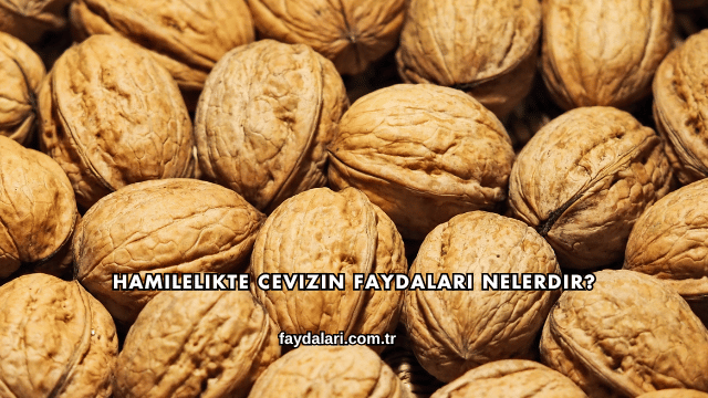 Hamilelikte Cevizin Faydaları Nelerdir?