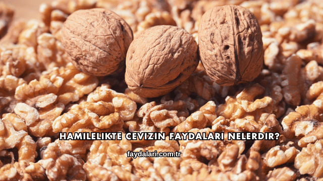 Hamilelikte Cevizin Faydaları Nelerdir?