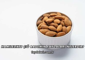 Hamilelikte Çiğ Bademin Faydaları Nelerdir?