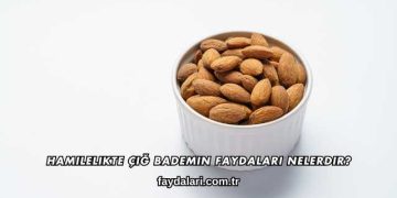 Hamilelikte Çiğ Bademin Faydaları Nelerdir?
