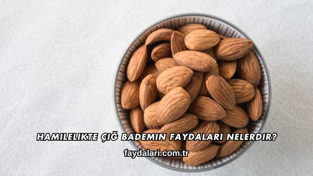 Hamilelikte Çiğ Bademin Faydaları Nelerdir?