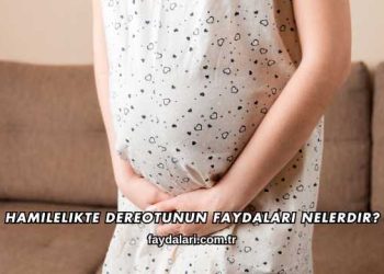 Hamilelikte Dereotunun Faydaları Nelerdir?