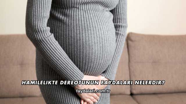 Hamilelikte Dereotunun Faydaları Nelerdir?