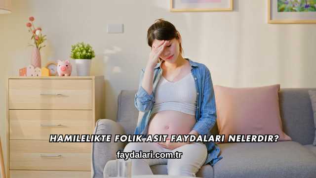 Hamilelikte Folik Asit Faydaları Nelerdir?