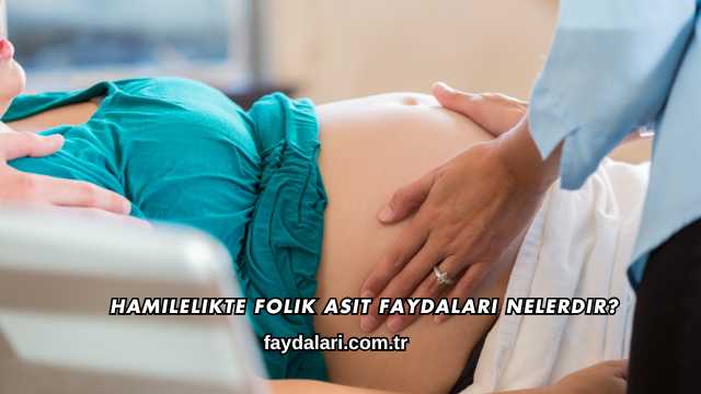 Hamilelikte Folik Asit Faydaları Nelerdir?