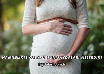 Hamilelikte Greyfurtun Faydaları Nelerdir?