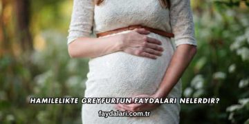Hamilelikte Greyfurtun Faydaları Nelerdir?
